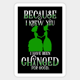 Because I Knew You I've Been Changed For Good Magnet